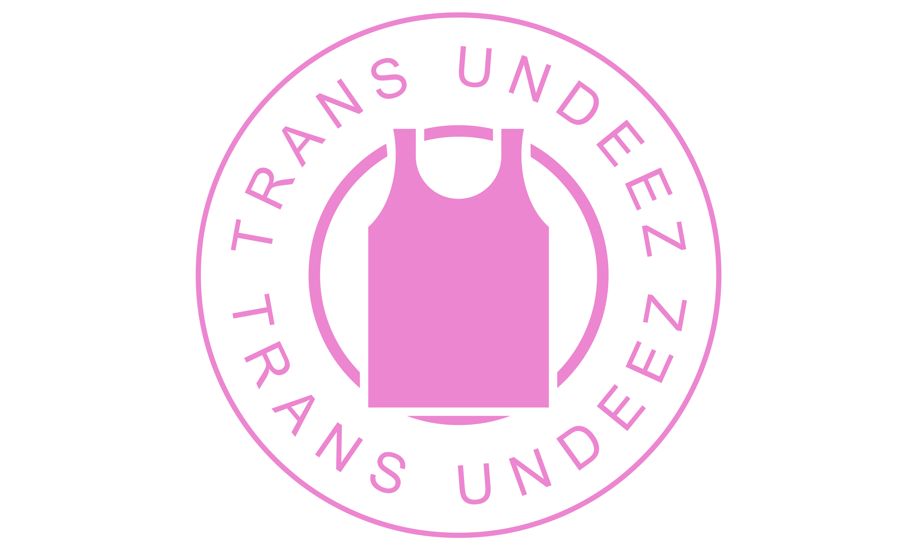 Logo trans underwear