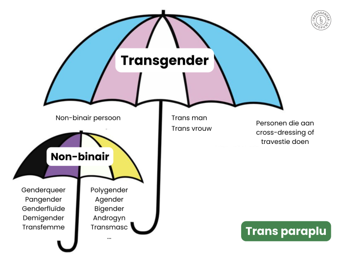 LGBTQ+ community, Rainbow community, LGBTQIA+ movement, Sexual and gender diversity, LGBT community, Queer community, LGBT+ rights, Gender and sexual minorities, LGBTQIA+ pride, LGBTIQ+ inclusivity.