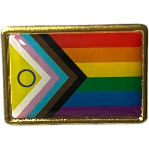 Pin (plastic) flag 'All-Inclusive Pride'