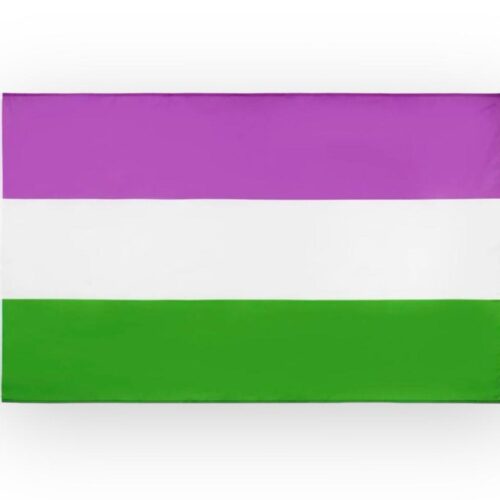 Flag 'genderqueer' 90 x 150 cm