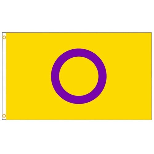 Flag 'intersex' 90 x 150 cm